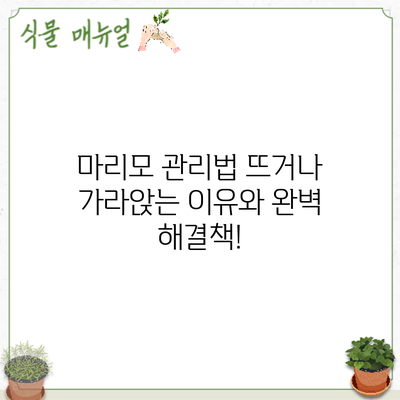 마리모 관리법: 뜨거나 가라앉는 이유와 완벽 해결책!