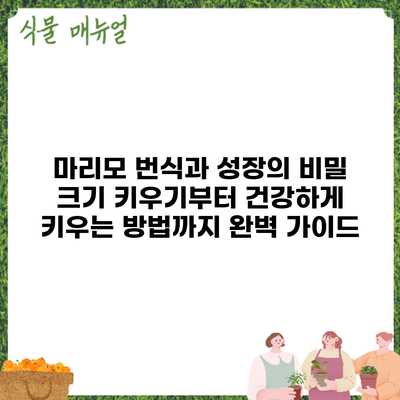 마리모 번식과 성장의 비밀: 크기 키우기부터 건강하게 키우는 방법까지 완벽 가이드