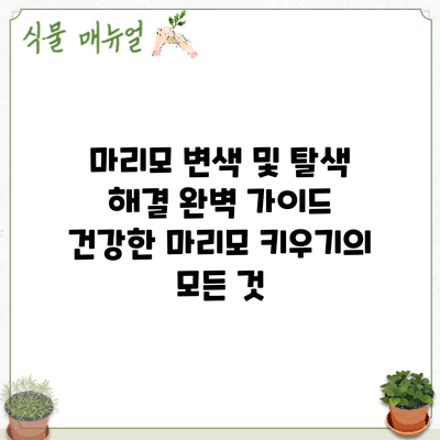 마리모 변색 및 탈색 해결 완벽 가이드: 건강한 마리모 키우기의 모든 것