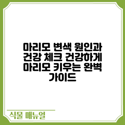 마리모 변색 원인과 건강 체크: 건강하게 마리모 키우는 완벽 가이드