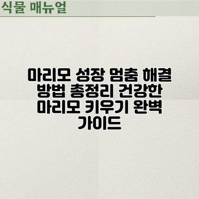 마리모 성장 멈춤? 해결 방법 총정리: 건강한 마리모 키우기 완벽 가이드