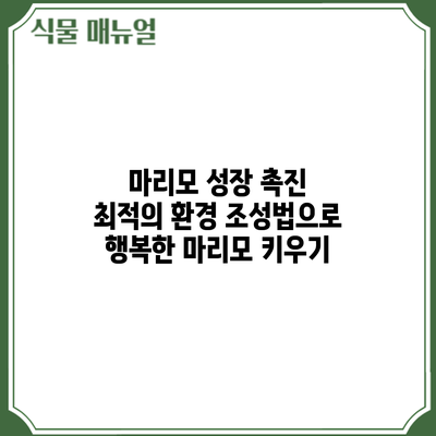 마리모 성장 촉진: 최적의 환경 조성법으로 행복한 마리모 키우기