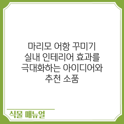 마리모 어항 꾸미기: 실내 인테리어 효과를 극대화하는 아이디어와 추천 소품