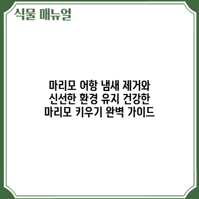 마리모 어항 냄새 제거와 신선한 환경 유지: 건강한 마리모 키우기 완벽 가이드