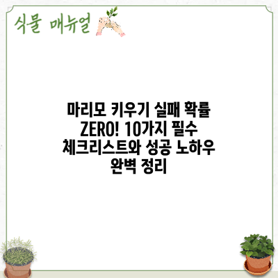 마리모 키우기 실패 확률 ZERO! 10가지 필수 체크리스트와 성공 노하우 완벽 정리