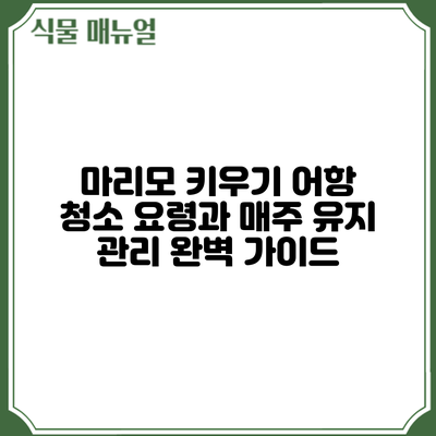 마리모 키우기: 어항 청소 요령과 매주 유지 관리 완벽 가이드