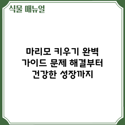 마리모 키우기 완벽 가이드: 문제 해결부터 건강한 성장까지