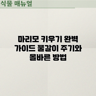 마리모 키우기 완벽 가이드: 물갈이 주기와 올바른 방법
