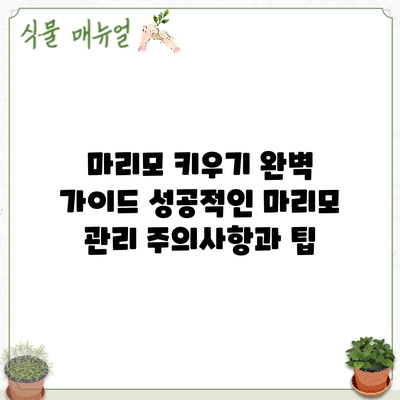 마리모 키우기 완벽 가이드: 성공적인 마리모 관리 주의사항과 팁