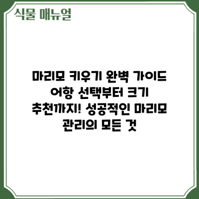 마리모 키우기 완벽 가이드: 어항 선택부터 크기 추천까지! 성공적인 마리모 관리의 모든 것