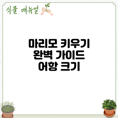 마리모 키우기 완벽 가이드: 어항 크기