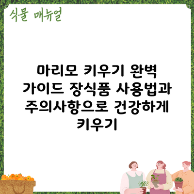 마리모 키우기 완벽 가이드: 장식품 사용법과 주의사항으로 건강하게 키우기