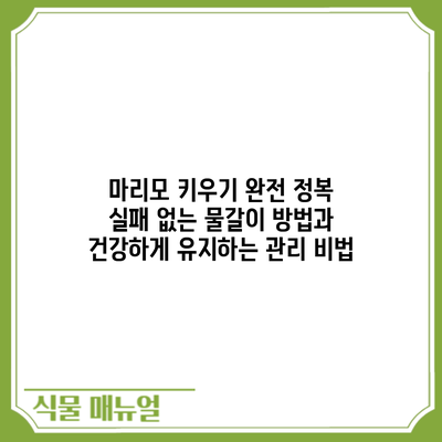 마리모 키우기 완전 정복: 실패 없는 물갈이 방법과 건강하게 유지하는 관리 비법