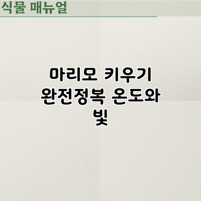 마리모 키우기 완전정복: 온도와 빛