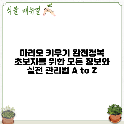 마리모 키우기 완전정복: 초보자를 위한 모든 정보와 실전 관리법 A to Z