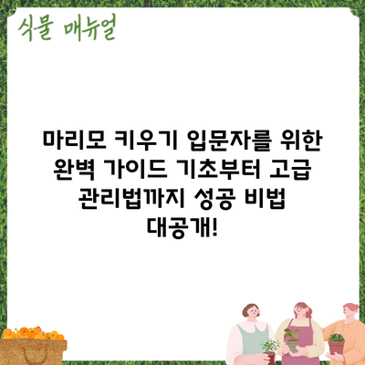 마리모 키우기 입문자를 위한 완벽 가이드: 기초부터 고급 관리법까지 성공 비법 대공개!