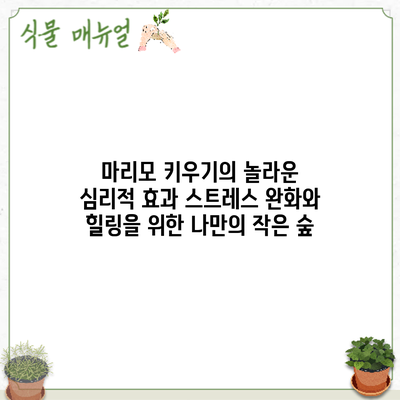 마리모 키우기의 놀라운 심리적 효과: 스트레스 완화와 힐링을 위한 나만의 작은 숲