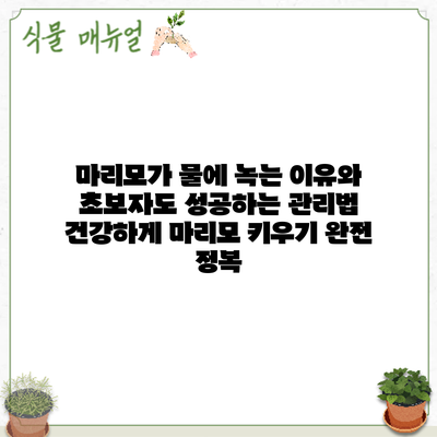 마리모가 물에 녹는 이유와 초보자도 성공하는 관리법: 건강하게 마리모 키우기 완전 정복