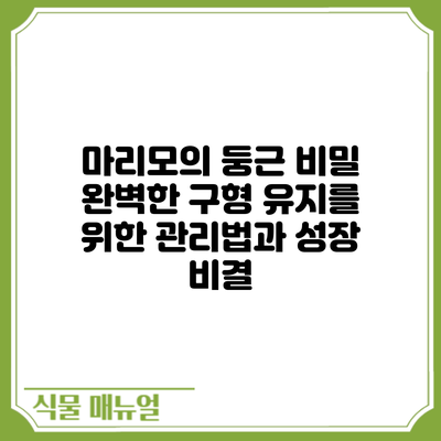 마리모의 둥근 비밀: 완벽한 구형 유지를 위한 관리법과 성장 비결
