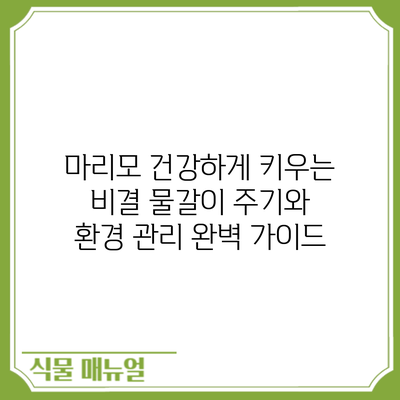 마리모 건강하게 키우는 비결: 물갈이 주기와 환경 관리 완벽 가이드