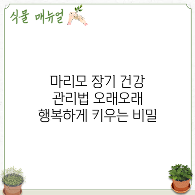 마리모 장기 건강 관리법: 오래오래 행복하게 키우는 비밀