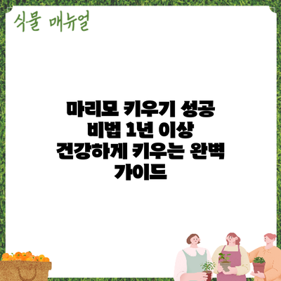 마리모 키우기 성공 비법: 1년 이상 건강하게 키우는 완벽 가이드
