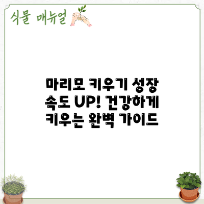 마리모 키우기: 성장 속도 UP! 건강하게 키우는 완벽 가이드