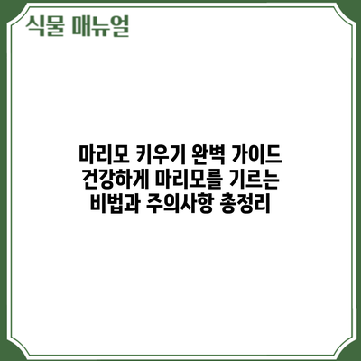 마리모 키우기 완벽 가이드: 건강하게 마리모를 기르는 비법과 주의사항 총정리