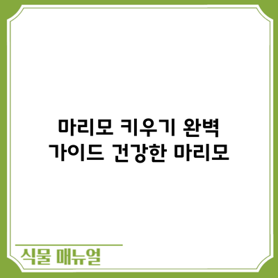 마리모 키우기 완벽 가이드: 건강한 마리모