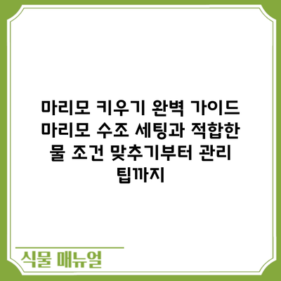 마리모 키우기 완벽 가이드: 마리모 수조 세팅과 적합한 물 조건 맞추기부터 관리 팁까지