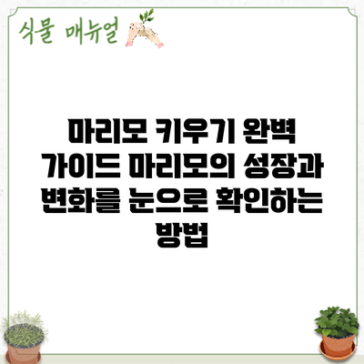 마리모 키우기 완벽 가이드: 마리모의 성장과 변화를 눈으로 확인하는 방법