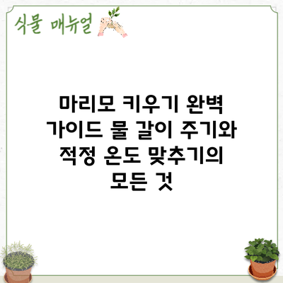 마리모 키우기 완벽 가이드: 물 갈이 주기와 적정 온도 맞추기의 모든 것