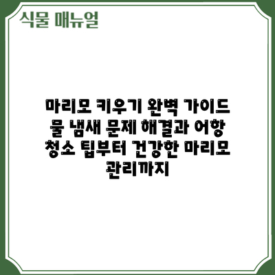 마리모 키우기 완벽 가이드: 물 냄새 문제 해결과 어항 청소 팁부터 건강한 마리모 관리까지