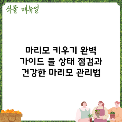 마리모 키우기 완벽 가이드: 물 상태 점검과 건강한 마리모 관리법