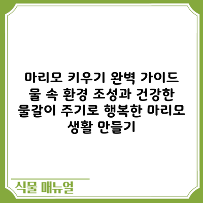 마리모 키우기 완벽 가이드: 물 속 환경 조성과 건강한 물갈이 주기로 행복한 마리모 생활 만들기