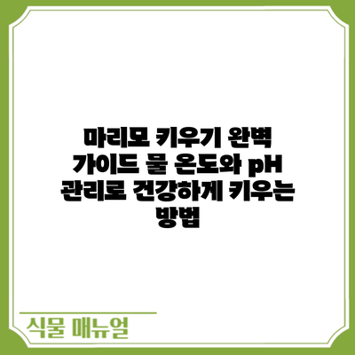 마리모 키우기 완벽 가이드: 물 온도와 pH 관리로 건강하게 키우는 방법