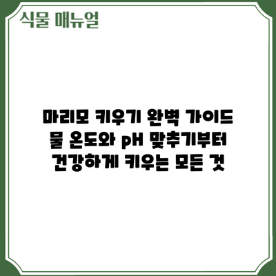 마리모 키우기 완벽 가이드: 물 온도와 pH 맞추기부터 건강하게 키우는 모든 것