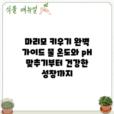 마리모 키우기 완벽 가이드: 물 온도와 pH 맞추기부터 건강한 성장까지