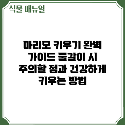 마리모 키우기 완벽 가이드: 물갈이 시 주의할 점과 건강하게 키우는 방법