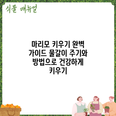 마리모 키우기 완벽 가이드: 물갈이 주기와 방법으로 건강하게 키우기