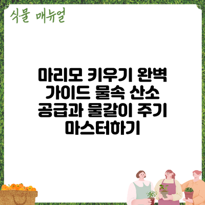 마리모 키우기 완벽 가이드: 물속 산소 공급과 물갈이 주기 마스터하기