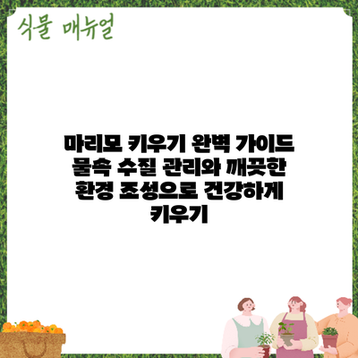 마리모 키우기 완벽 가이드: 물속 수질 관리와 깨끗한 환경 조성으로 건강하게 키우기