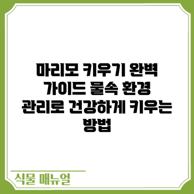 마리모 키우기 완벽 가이드: 물속 환경 관리로 건강하게 키우는 방법
