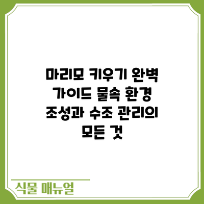 마리모 키우기 완벽 가이드: 물속 환경 조성과 수조 관리의 모든 것