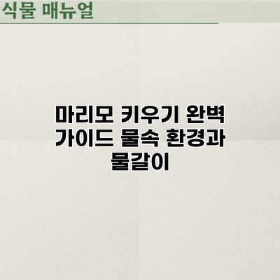 마리모 키우기 완벽 가이드: 물속 환경과 물갈이