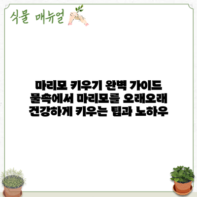 마리모 키우기 완벽 가이드: 물속에서 마리모를 오래오래 건강하게 키우는 팁과 노하우