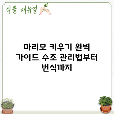 마리모 키우기 완벽 가이드: 수조 관리법부터 번식까지