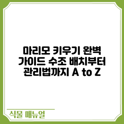 마리모 키우기 완벽 가이드: 수조 배치부터 관리법까지 A to Z
