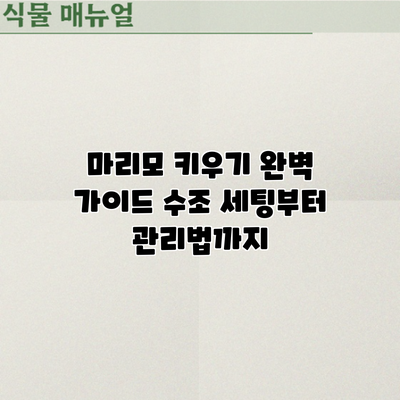 마리모 키우기 완벽 가이드: 수조 세팅부터 관리법까지