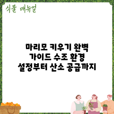 마리모 키우기 완벽 가이드: 수조 환경 설정부터 산소 공급까지